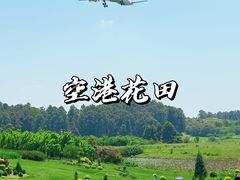 -空港花田景区