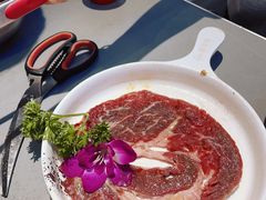 -盛辛巴·东北炭火烤肉(托乐嘉店)