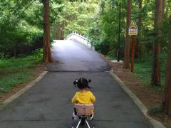 -崇明东平国家森林公园烧烤房车露营地