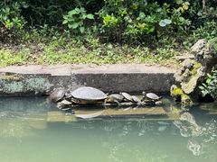 -宁波市保国寺古建筑博物馆