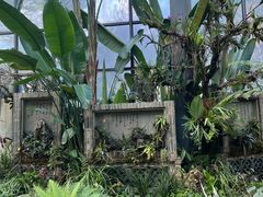 -东莞植物园