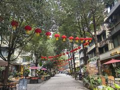 -泡桐树街