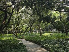 -黄埔荔枝公园