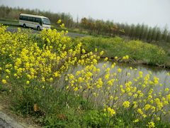 -东滩湿地公园观海楼餐厅