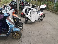 -金陵图书馆
