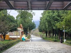 -长田漾湿地公园