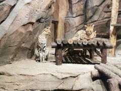 -波塞冬旅游度假区