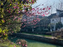 -八大山人梅湖景区