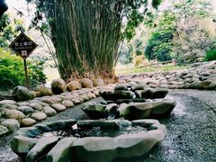-成都市活水公园