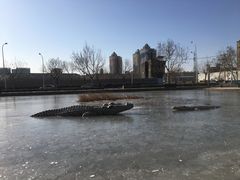 -泰丰公园
