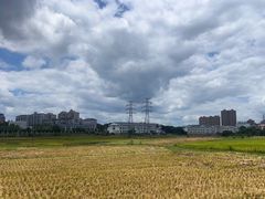 -共和国摇篮旅游区-红井景区