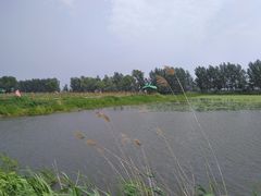 -白渔泡湿地公园