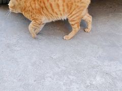 -侨乡