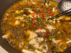 -麻小度青花椒鱼(安德总店)