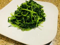 鸡毛菜-长安壹号
