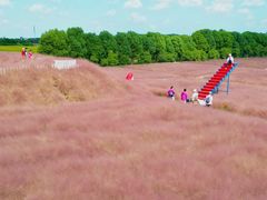 -嘉北郊野公园