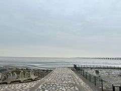 -南汇新城海滩
