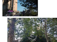 -龙头寺公园