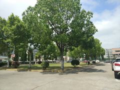 -南京晓庄学院(莫愁校区)