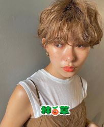 -SY COLOUR专业烫染