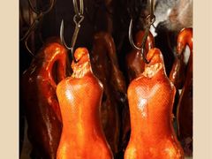 -辛香汇·现炒川菜(共康店)