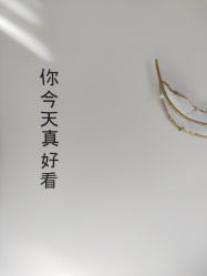 -YIMEI ART半永久纹眉·野生眉
