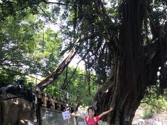 -胡里山炮台