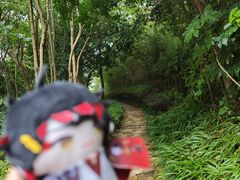-天目湖涵田度假村