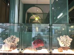 -春润大地海南椰子鸡(沙井京基百纳广场店)