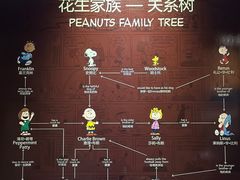 -史努比缤纷世界