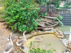 -园林美食城·本土农家菜(杨和镇店)