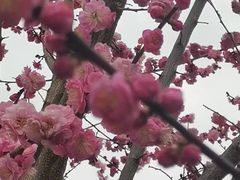 -城市运动公园(未央区)