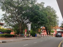 -马六甲鸡场街