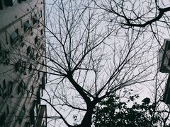-阿殳粥馆(水围村店)