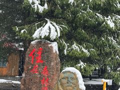 -新疆那拉提国家旅游度假区