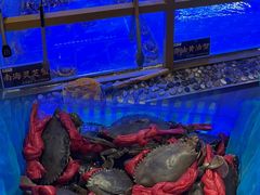 -膳富贵黄油蟹体验馆(欢乐港湾店)