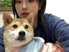 -猫色咖啡·猫咖