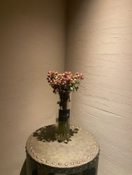 -Hello Lady发型设计