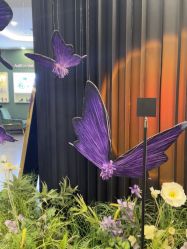 -苏州奥拉克美容医院