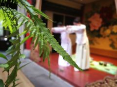 -白鹭原茶艺馆