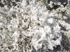-国信南山温泉