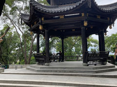 -金鸡山公园