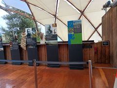 -怀托摩萤火虫洞