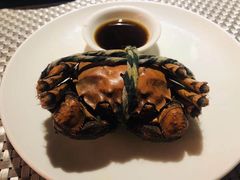-339旋转餐厅(天府熊猫塔店)