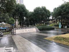 -重庆市江北嘴中央商务区中央公园