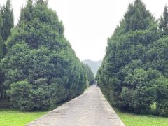 -秦始皇帝陵博物院-丽山园