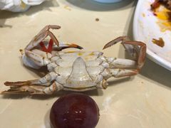 -蓝珊甄选海鲜自助·火锅大排档(近阿那亚店)