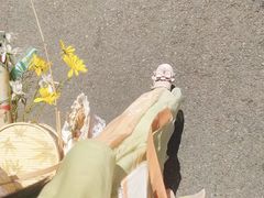 -三圣花乡旅游区