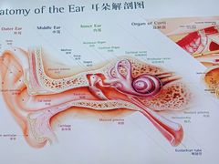 -惠耳听力助听器(霍邱新蓼大道店)