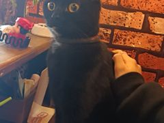 -MAX伯爵趣味互动密室逃脱(大坪D馆店)